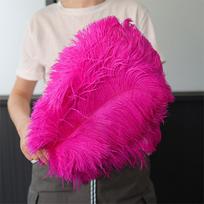 1 vnt. Elegantiškas baltas pūkuotas stručio plunksnos papuošalas vestuvėms, vakarėliui, namų kambariui, „pasidaryk pats“ dekoracijoms 45-50cm 1 pc (45-50cm) ryškiai rožinė