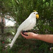 Spalvingas papūgos plunksnos modelis - Dirbtinio paukščio žaislo ornamentas white