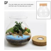 Transparent Micro Landscape Bottle Borosilicate Glass Ecological Terrarium with Wooden Lid LED Light for Home Office Decor 10.5X10X10CM white