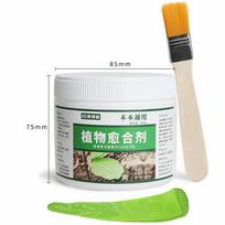100g Grafting Tree Sealer with Brush Plant Restoring Sealant Pruning Compound  Bonsai Maintenance 500g