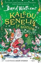 Kalėdų Senelis ir sūnus - David Walliams