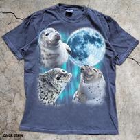 Three Harbor Seals Howling Moon T-Shirt, Aurora Borealis Marine Life Tee 2XL white
