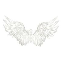 Angel Wing Cuff Bracelet Open PLA Wrist Jewelry with 3D Feather Relief for Gothic Cosplay and Party Outfit Styling balta