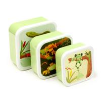 3 vnt. pietų dėžutės rinkinys (M/L/XL) su „Tropical Tree Frog“ motyvu