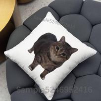 Katės Memai Juokingas Pagalvės Užvalkalas Kvadratinis Dekoratyvinei Pagalvei Lova Sofa Klasikinis Stilius Skalbiamas Mašinoje 30cmx30cm(12x12Inch)