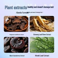 Shizhongtang Plant-Based One-Wash Hair Dye black
