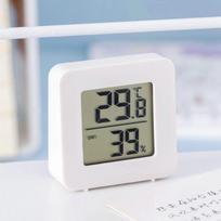 Kambario temperatūros ir drėgmės matuoklis- termometras