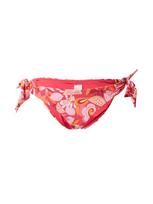 Hunkemöller Bikinio kelnaitės 'Miami' oranžinė / rožinė / rožių spalva