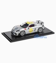 718 Cayman GT4 RS PLA 982, sidabrinė, juoda, 1:18