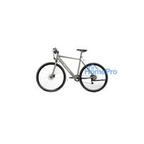Sharp Gravel elektriskais velosipēds 250W motors App 70km Green spīdīgs
