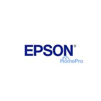 Epson C13S090013 printer cleaning