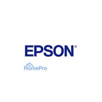 Epson Monkey T0891 ink cartridge