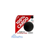 Cardo Microphone sponge for Packtalk, L