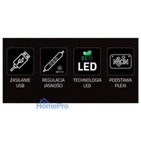 Manta SNL66WH Style Neon Lights FRENCH BULLDOG White