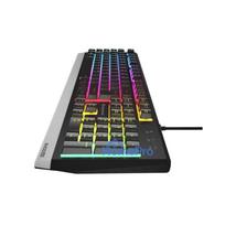 Genesis Rhod 300 RGB (EN)