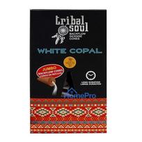 Incense Cones - Hari Darshan White Copal Backflow 10 Cones 40 Min. Burning Time