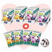 ANIMAL ISLAND Love Box Fillets in Jelly Box + Toy - wet cat food - 48x85g