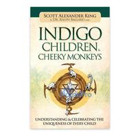 Book - Blue Angel Indigo Children and Mischievous Monkeys Understanding Unique Traits