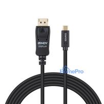 Adapter - 2m USB Type C to DisplayPort 4K60 21.6Gbps