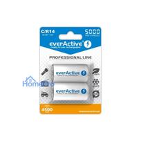 R14 / C batteries 1.2V everActive Professional line Ni-MH 5000 mAh in a pack of 2 pcs.