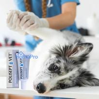 JM SANTE Polisept Vet Wound gel Silver Pro - gel dressing for dogs and cats - 30 ml