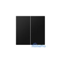 2nd class finish LS990 JUNG LS995SWM (black, matt)
