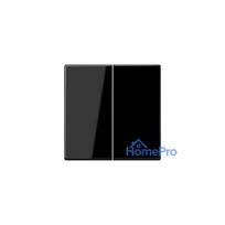 2nd class finish LS990 JUNG LS995SW (black)