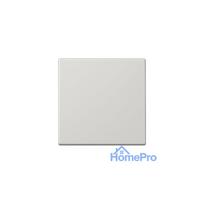 1st class finish JUNG LS990 (gray)