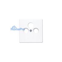 Jung LS 990 SAT WW cover for satellite TV sockets