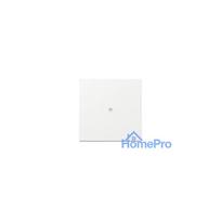 GIRA 329003 wall plate / switch cover