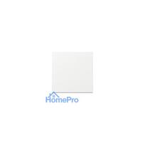 GIRA 329603 wall plate / switch cover
