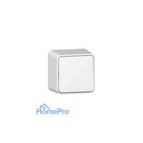 GIRA 310613 electrical switch