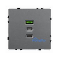 Greito krovimo USB rozetė su A+C+C jungtimis Feelspot FSACC65G, 65 W, pilka