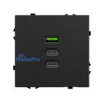 Greito krovimo USB rozetė su A+C+C jungtimis Feelspot FSACC65B, 65 W, juoda
