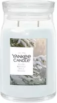 Yankee Candle Signature Snow Kissed Pine žvakė didelė 567 g