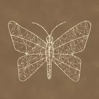 EDELMAN Dekoratyvinė figūrėlė drugelis 600 LED 60 cm LUCA