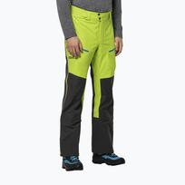 Jack Wolfskin vyriškos slidinėjimo kelnės Alpspitze 3L green/black 1115191