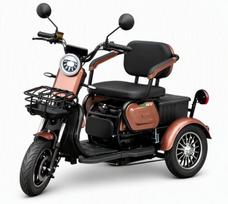 Elektrinis triratis motoroleris M20, Li-ion, rudas