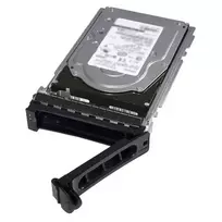 DELL 161-BCLH vidinis kietasis diskas 2.4 TB 10000 RPM 2.5 colio SAS