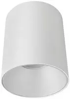 Altalusse lubinis šviestuvas, lubų šviestuvas vamzdelinis taškinis prožektorius INL-7007D-01 GU10 baltas
