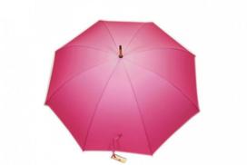 Skėtis moterims ALMAX L1012, violetinis