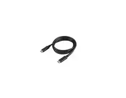LENOVO 4X90U90619 data transfer and charging cable | USB-C to USB-C | 100W | 1m | black