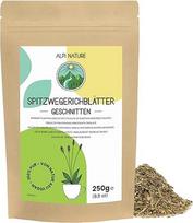 "Alpi Nature Plantain Tea" 250 g, džiovinti plantanų lapai, plantanų arbata, vaistažolių arbata