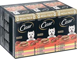 "Cesar Megapack Classic Terrine" - maistas šunims dubenėlyje - 4 rūšys pakuotėje - 24 x 150 g