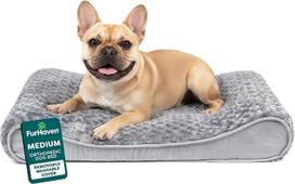 "Furhaven Pet Dog Bed" | Ortopedinis itin prabangus "Luxe Lounger" gultas šunims ir katėms, pilkas, vidutinis