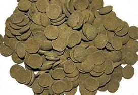 "House Brand" Welschips dumblių plokštelės Plecos šamams Corydoras Pašarų tabletės Spirulina šamų maistas (500 ml)