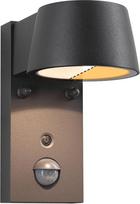 "Paulmann Capea" 94714 LED sieninis šviestuvas su judesio jutikliu, apsaugotas nuo vabzdžių IP44 96 x 153 mm derinamas šiltas 6 W 450 lm 98° juodas