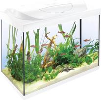 "Tetra Starter Line" 80 l baltas akvariumas, pilnas komplektas, kuriame yra dieninis ir naktinis LED apšvietimas, vidinis filtras, šildytuvas, žuvų maistas ir vandens kondicionierius
