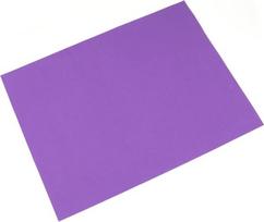10 vnt. „Eva“ putų plokščių, skirtų rankdarbiams, skrapbukingui ir mokykliniams projektams (Purple2)
