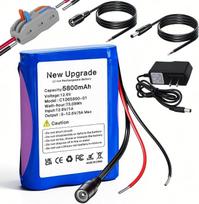 12,6 V, 5800 mAh ličio jonų akumuliatorius su įkrovikliu ir 2 jungiamaisiais laidais, skirtais saulės baterijai, radijo imtuvui, fotoaparatams, vaizdo kamerai, elektroniniams vargonams, savadarbiam skaitymo šviestuvui, teleskopams, sonarui ir signalizavim